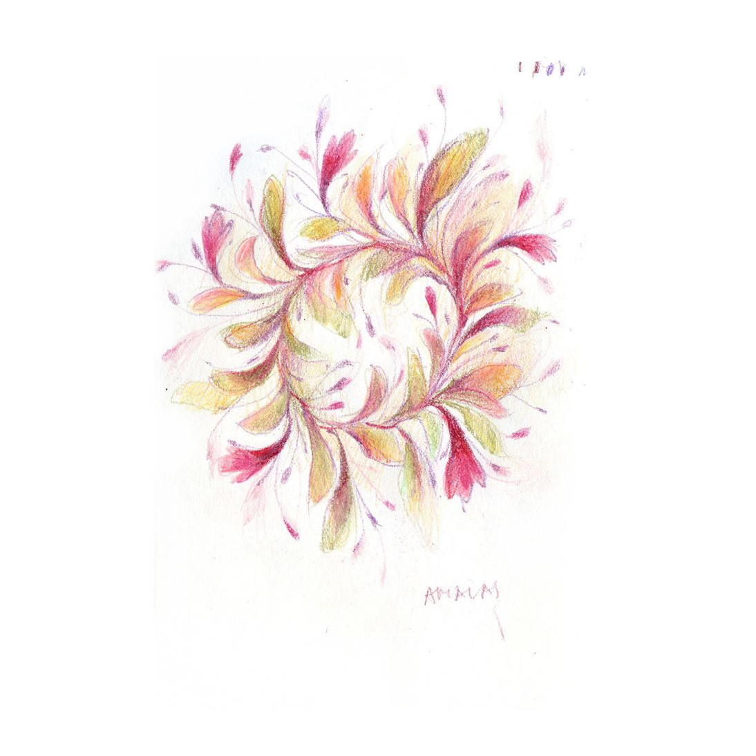 flower Drawing 