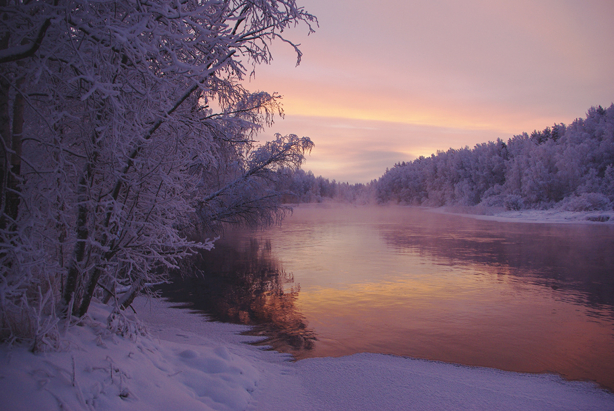 freezing-over frost MORNING river Sunrise winter forest snow ice Nature environment arts Landscape
