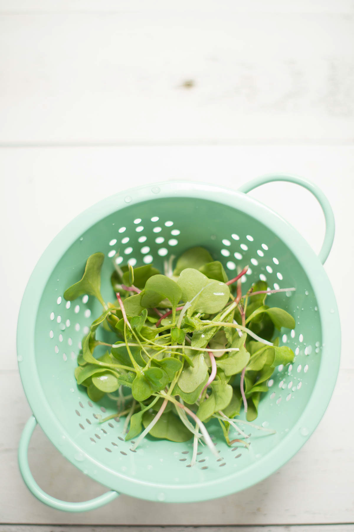 spring radish sprouts salad colander fork Flowers organic dressing copy space