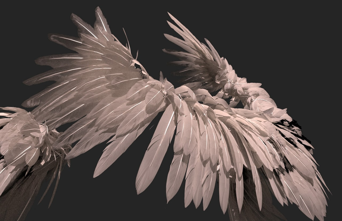 3D model realistic wing