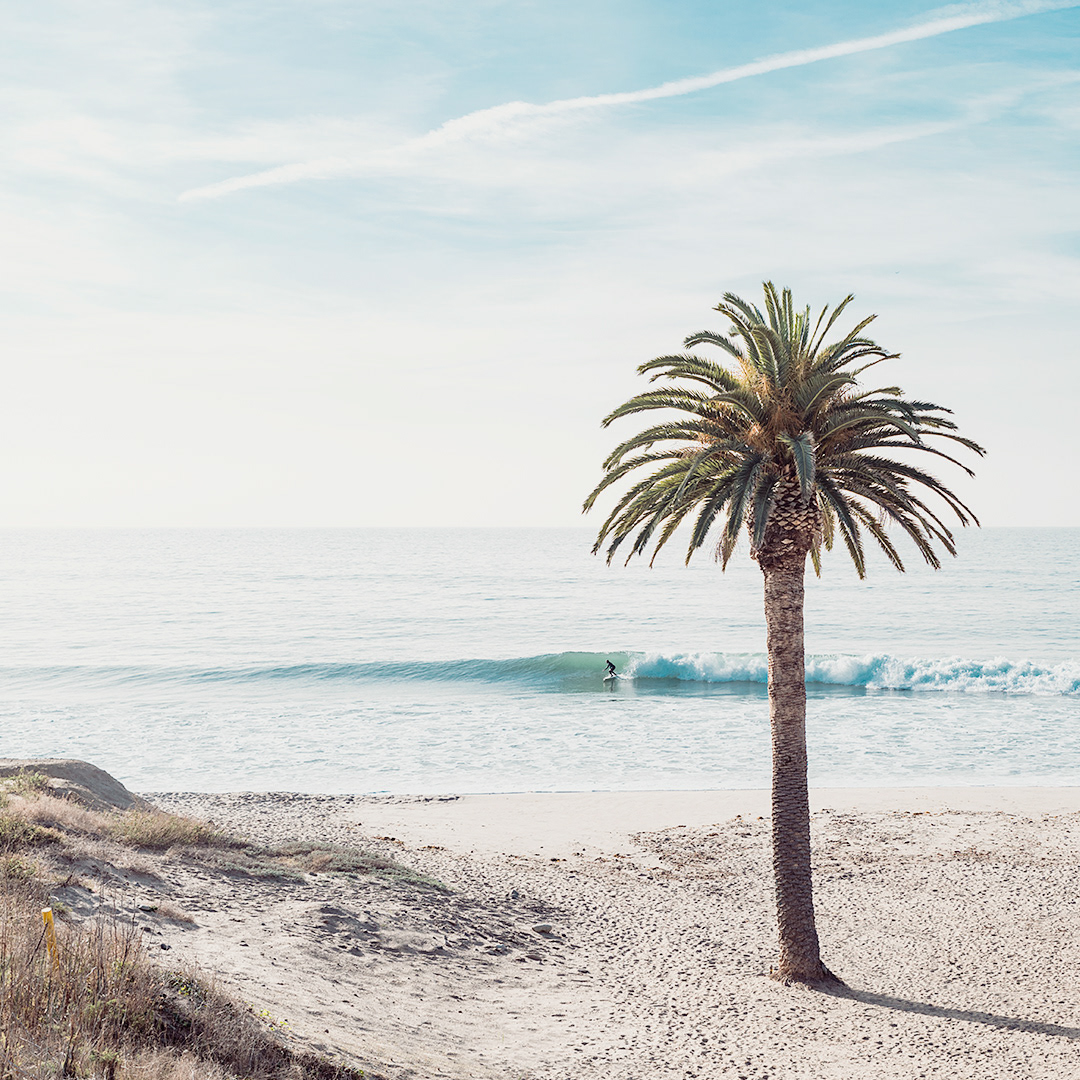 Topanga Surf wave palm beach la Ocean surfing Los Angeles California