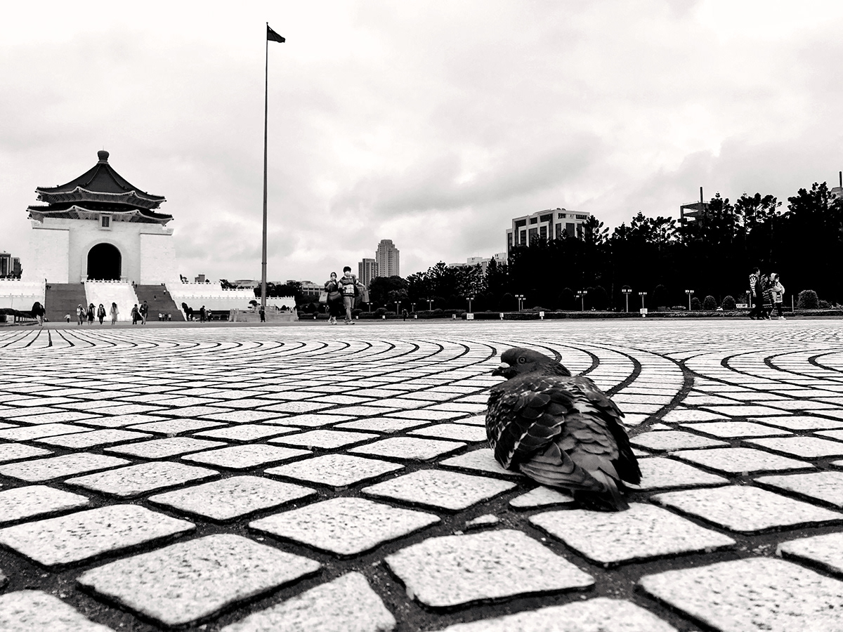50mm blackandwhite monochrome personal Photography  Street streetphotography taiwan Travel travelphotography
