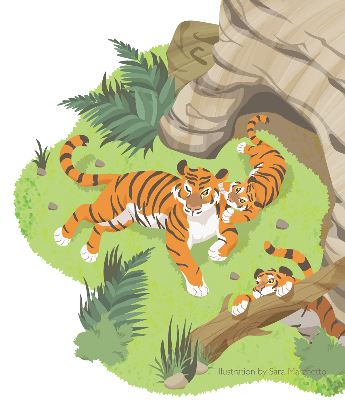 Vector illustration of tiger and cubs playing near a grotto, created for children's dictionary.