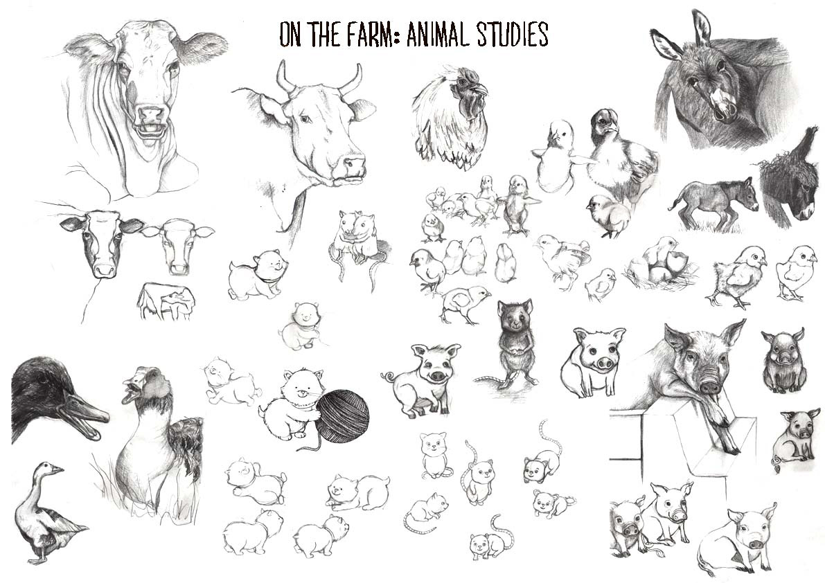 farm  animals  cow  chicks  drawing  Illustration  Children's books  Countryside  chicken  duck  donkey