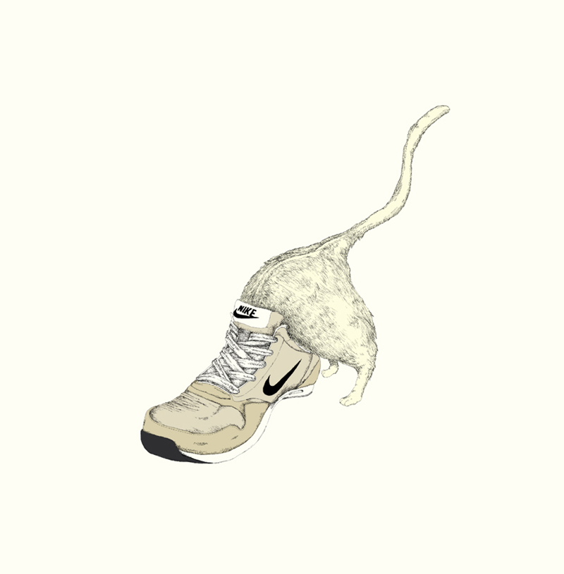 Cat Nike animal ILLUSTRATION  fine art kawaii shoes sneakers