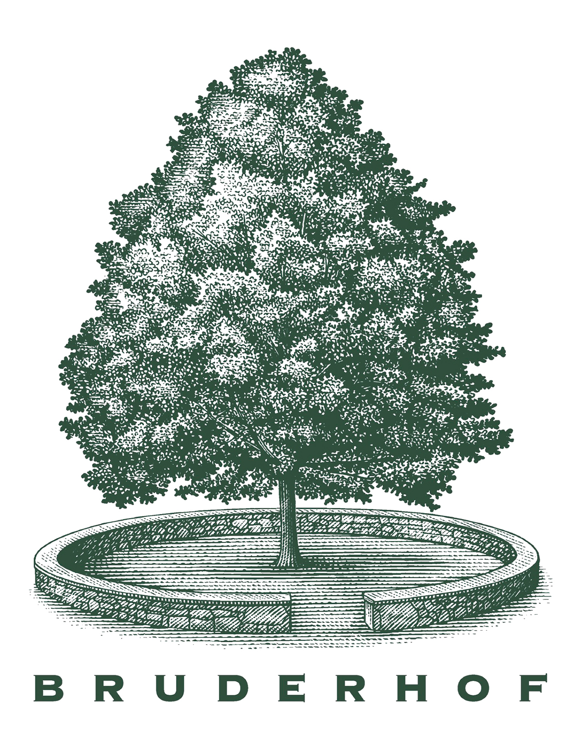 Steven Noble Tree  trees engaging woodcut linocut
