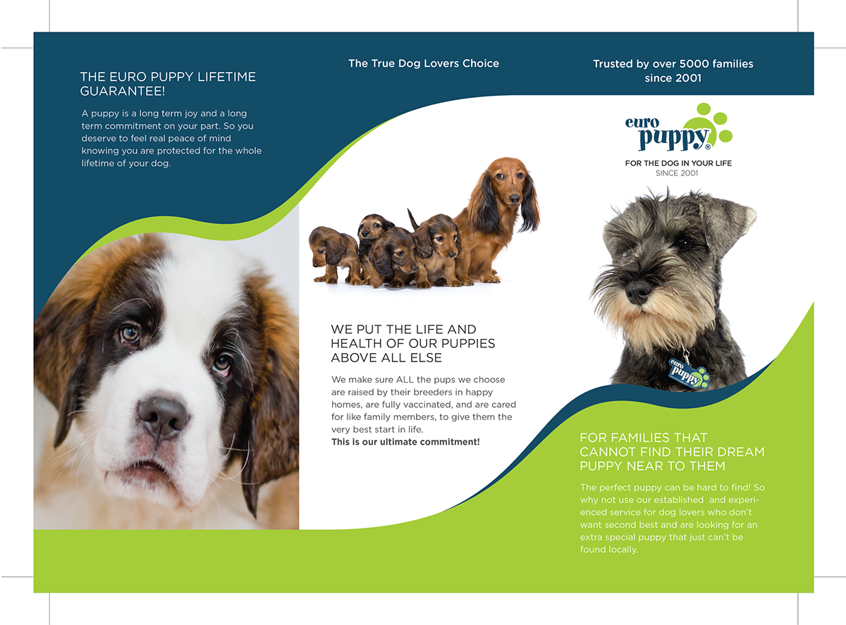 Adobe Portfolio brochure dog puppy Euro Puppy