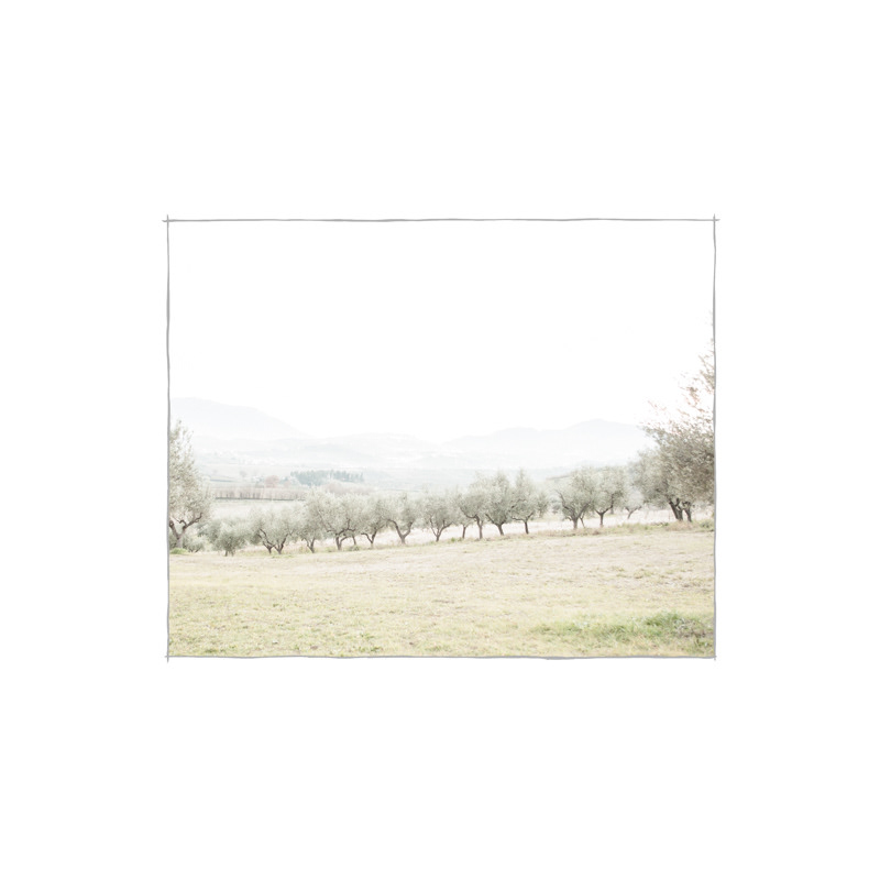 landscapes  memories ruin abruzzo countryside olive Tree 