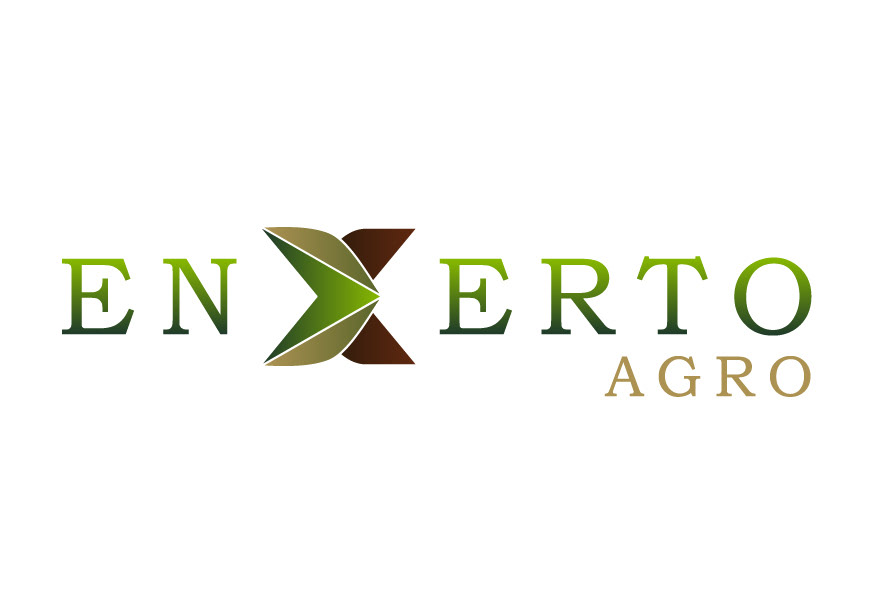 Agribusiness agricultura Agro Agronegócios branding  campo design designdemarcas logodesign Plant