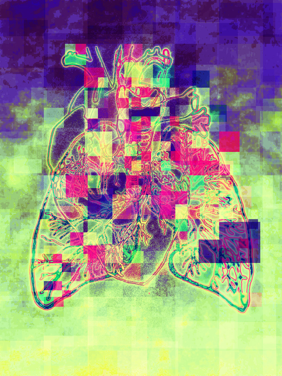 Glitch digital art photo image human integration colors pixel iphone cellphoneography