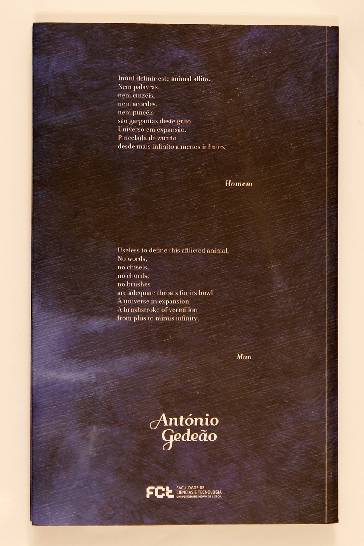 lettering editorial graphic design Poemas/Poems antonio António Gedeão Gedeão diogo Trindade Palavrão fct Faculdade de ciências e tecnologia Universidade Nova de