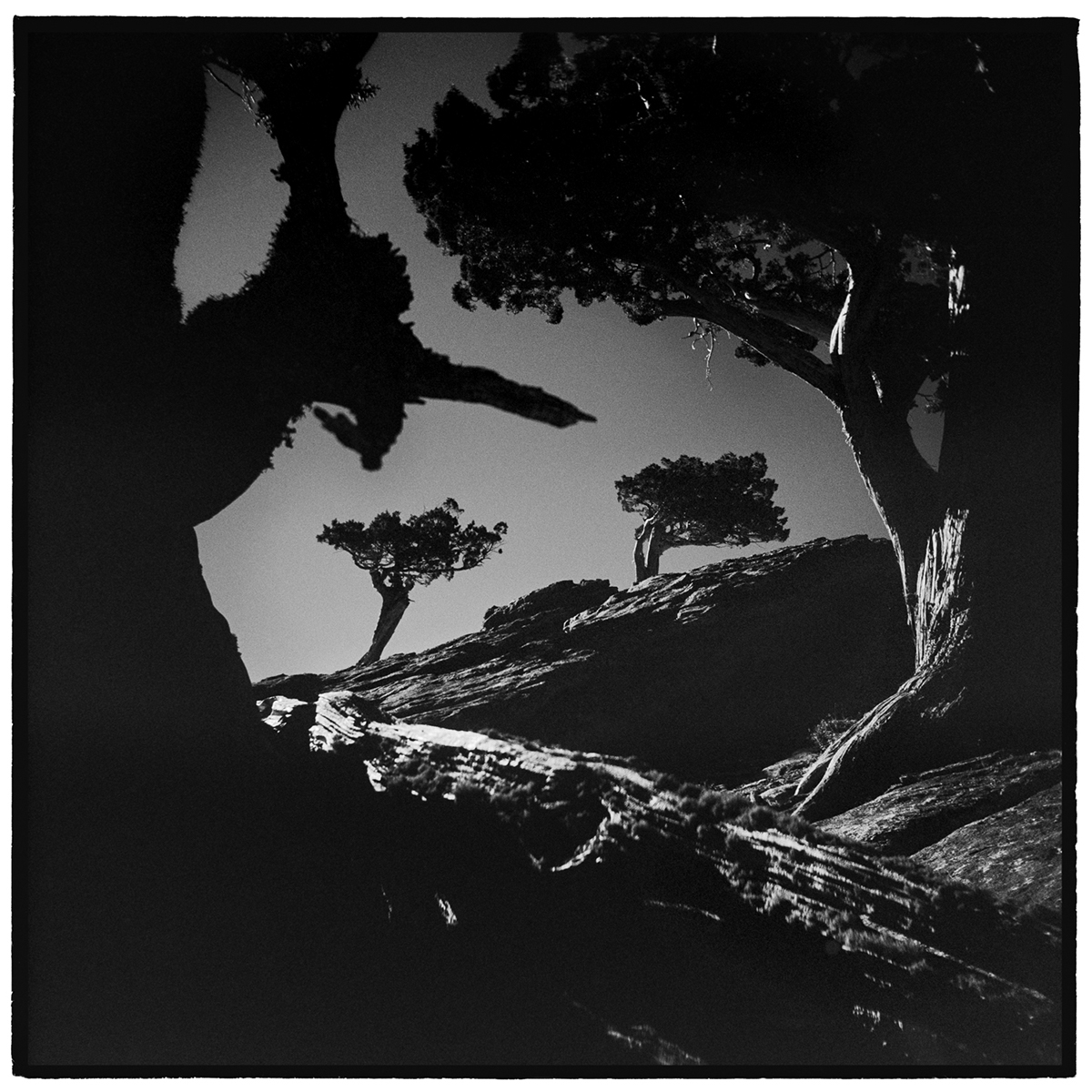 American West landscape photography Film   black and white medium format conservation mountains fine art prints