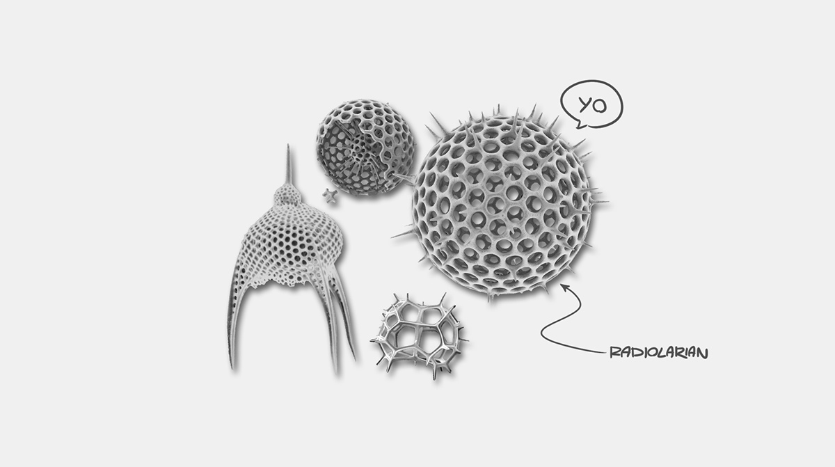 lighting Lamp luminaire light radiolarian biomimicry 3d print 3d printing pattern generative