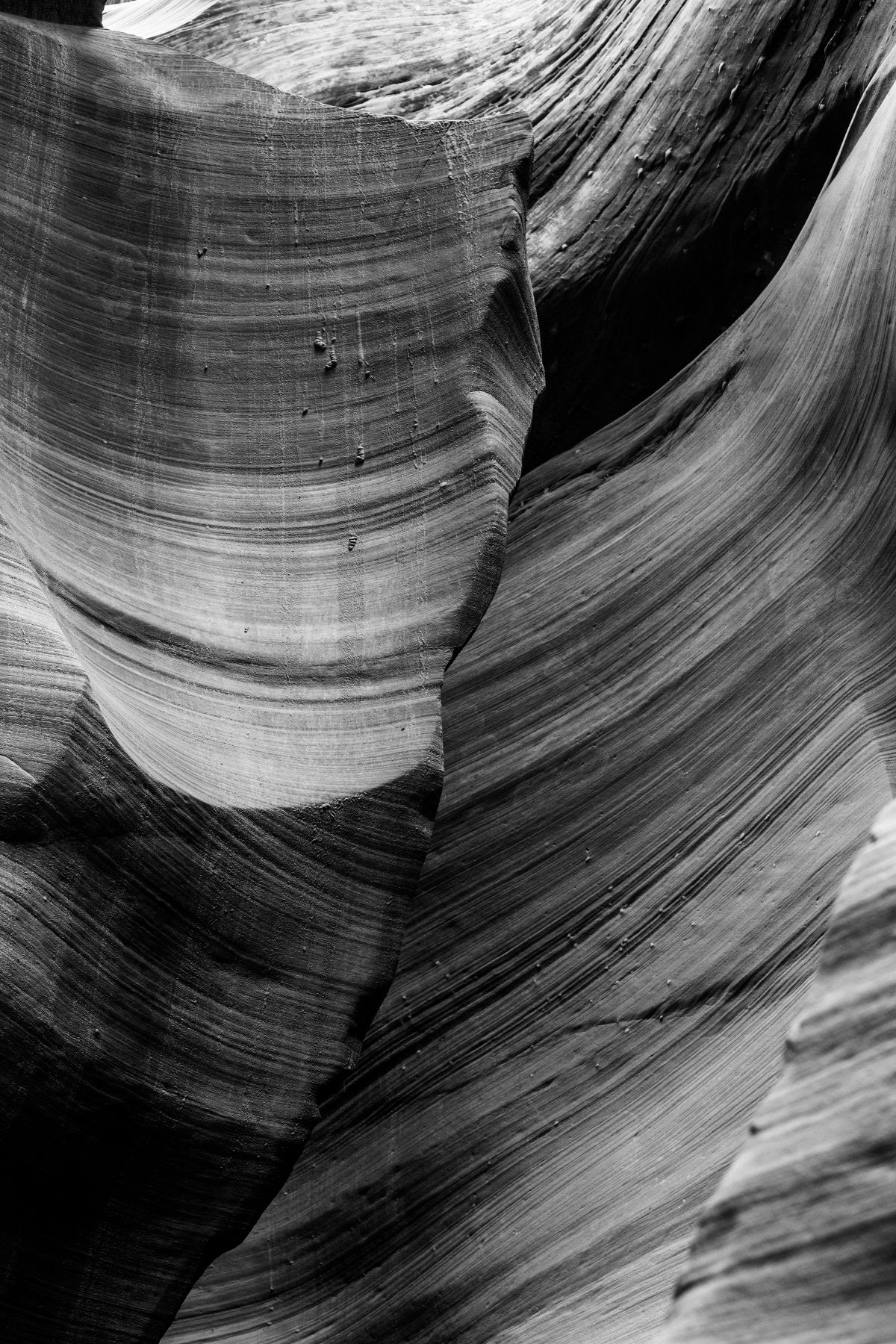 antelope antelope canyon Black&white art fine art digital photography  Photography  Landscape sensitive touch