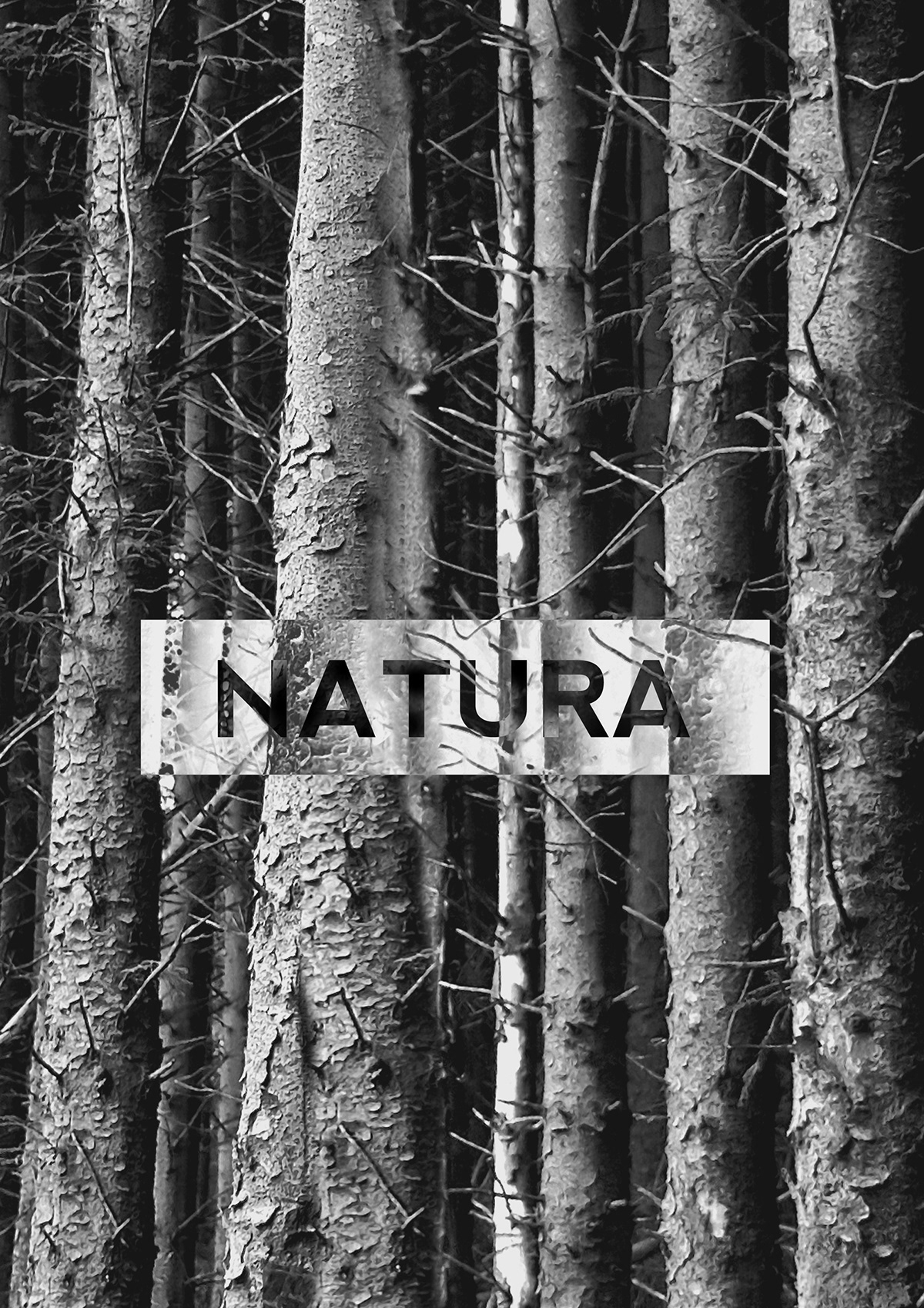 Nature culture poster