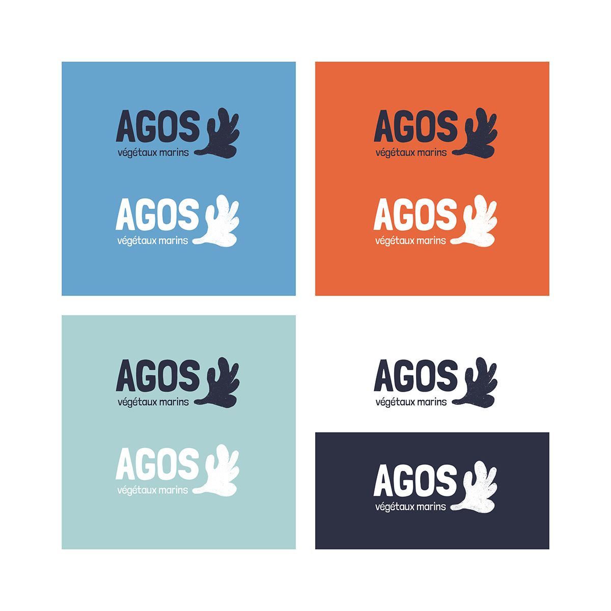 brand identity graphic design  logo Logo Design visual