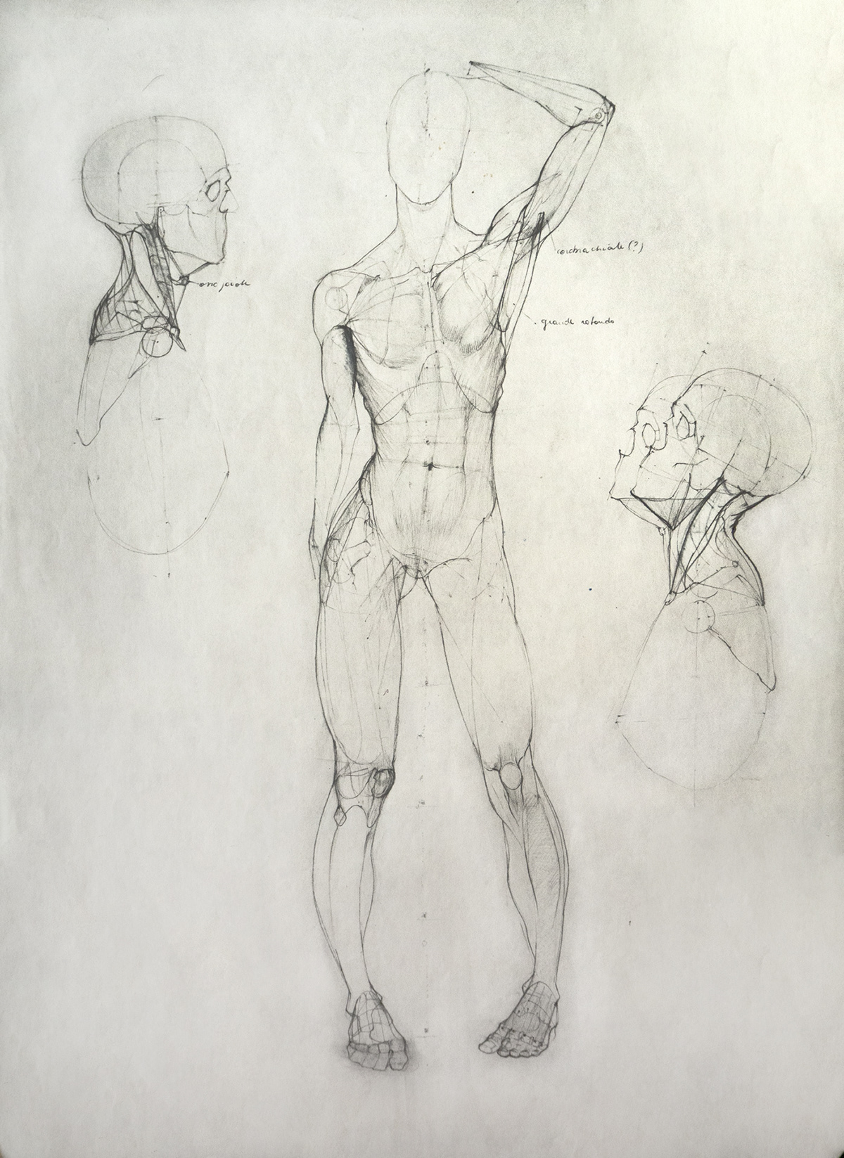 anatomia anatomy body sketches Drawing  disegno art corpo grafite pencil