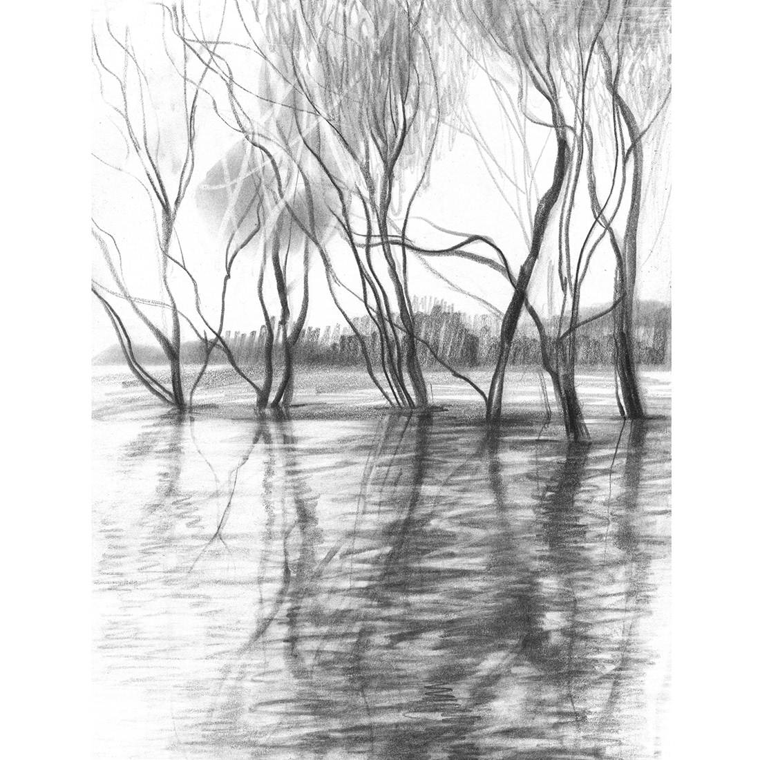 black and white Drawing  flood ink pen river sketch sketchbook sketches ILLUSTRATION 