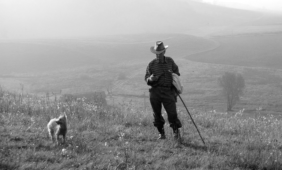 slovakia animal frog sheep lamb cow Shepherd Landscape Black&white horse