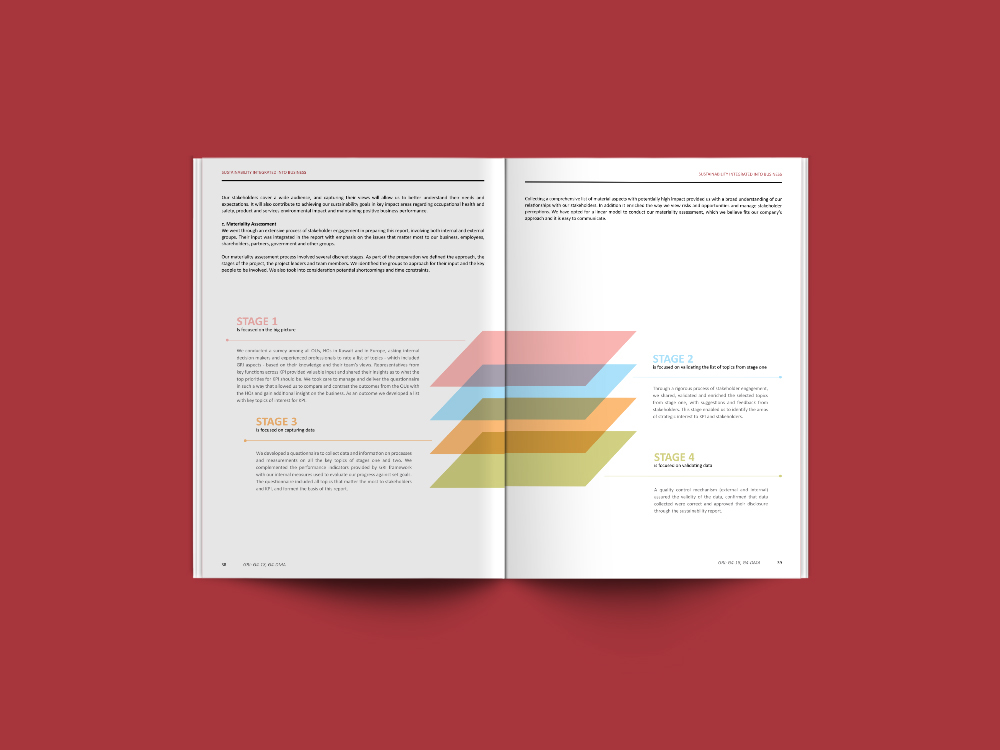 publication graphic design  info-graphics visual design Layout editorial
