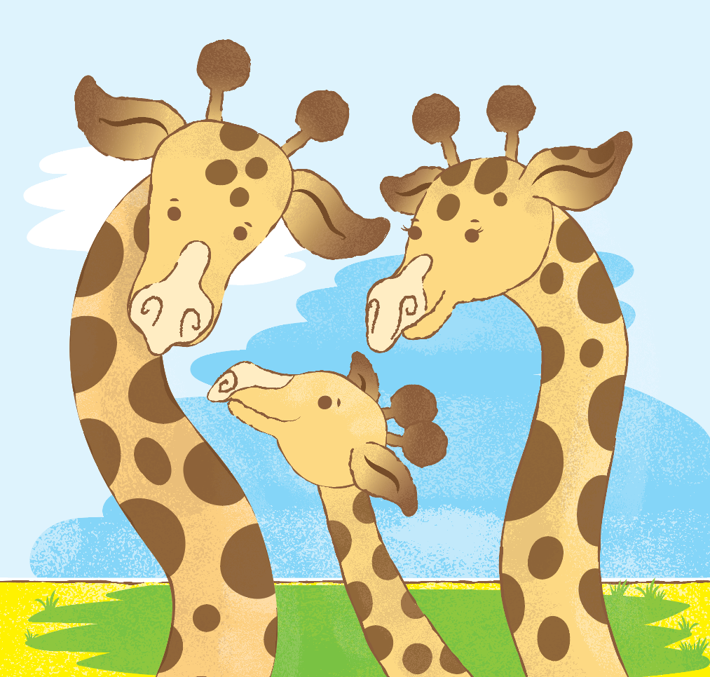 africa african Savannah desert giraffes cute funny ladies tall zoo taller high height tallest long