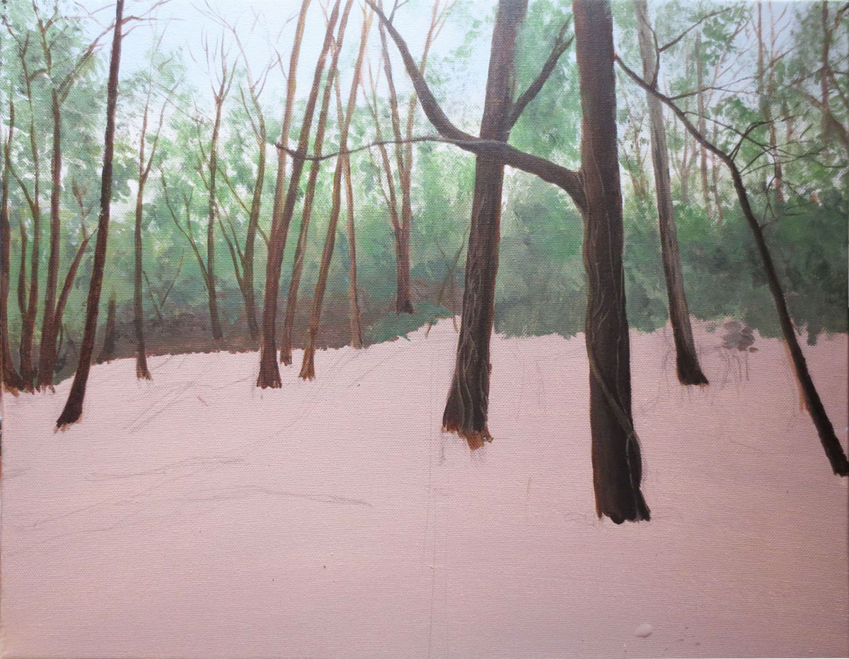 forest  woods acrylic Nature