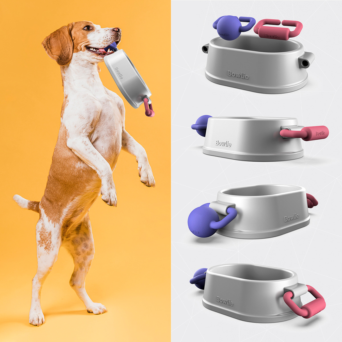 Cat dog dog bowl dog toy dogtoy industrialdesign Pet productdesign toy training
