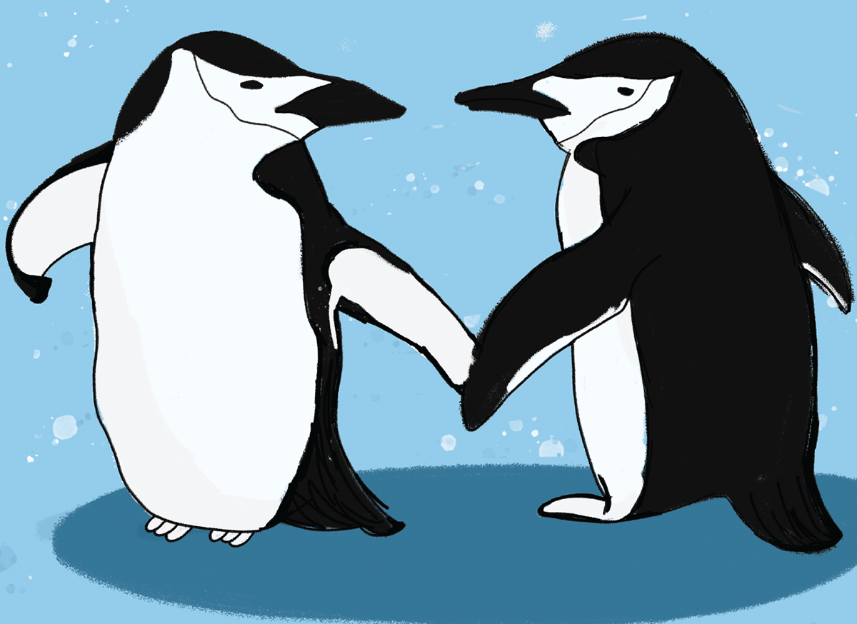 ILLUSTRATION  Character design  digital illustration adobe illustrator penguins animals Nature Illustrator design greeting card