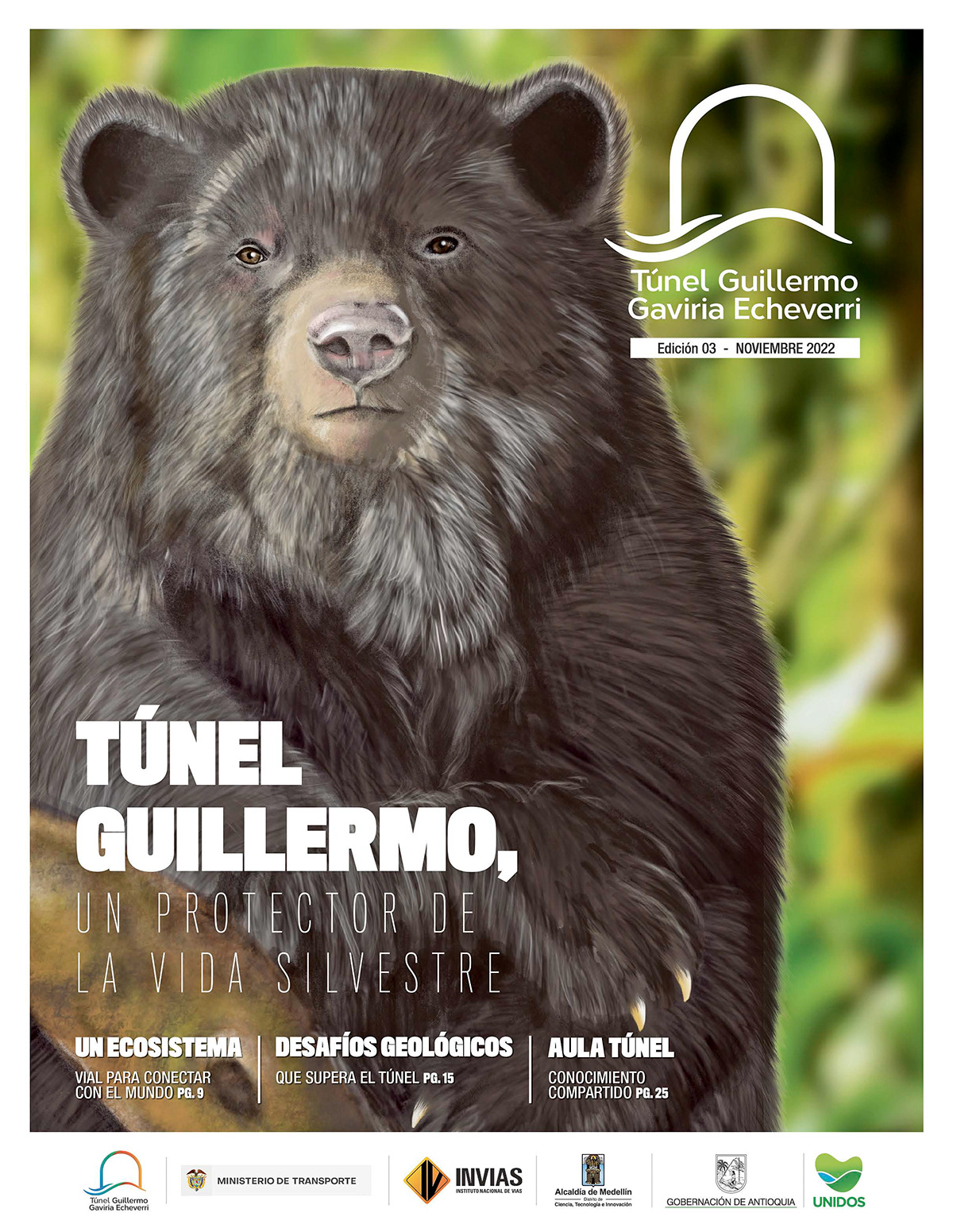 colombia diseño editorial design  graphic design  ILLUSTRATION  ilustracion túneles