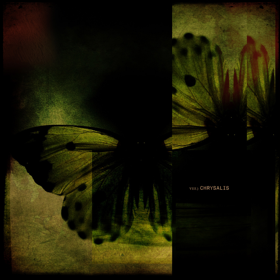 martin koch oxyde noir album cover random memory flux insect dark industrial dark ambient band visuals Style