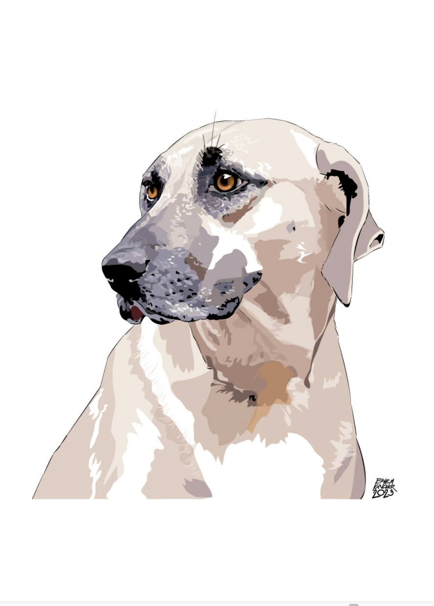Pet Pet Portrait painting   portrait