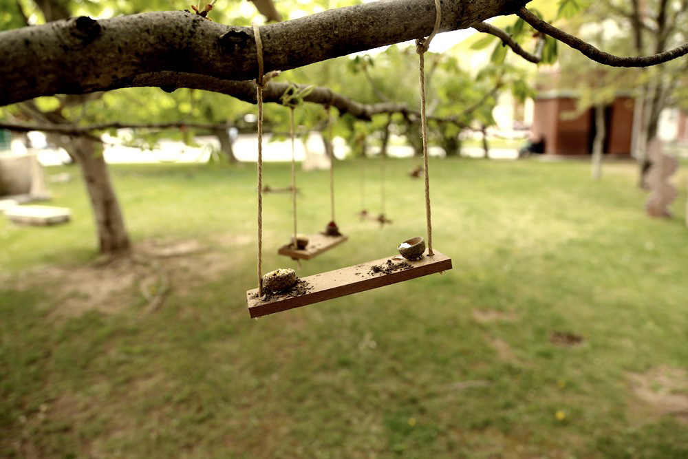 bird swing Tree  rope