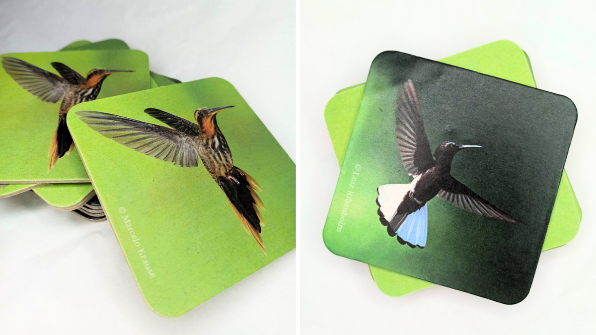 product design  design de produto Coasters memory game educativo beija flor hummingbird design gráfico jogo da memória porta copos