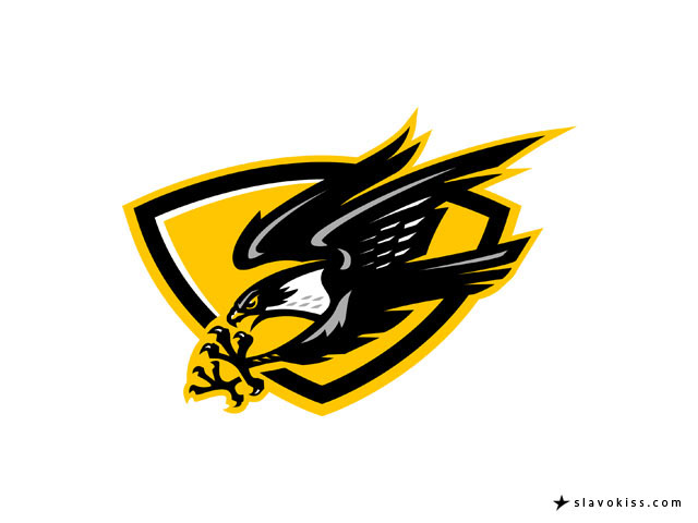 Eiker Falcons Hockey on Behance