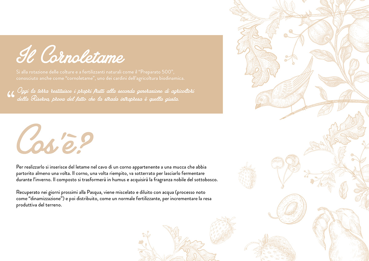 530ettari bio Biologic claudiadelbianco donkey farm Food  graphicdesign Pasta texture