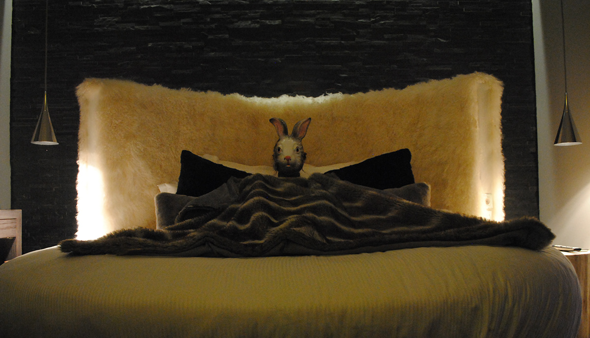 rabbit hotel seven photo concours