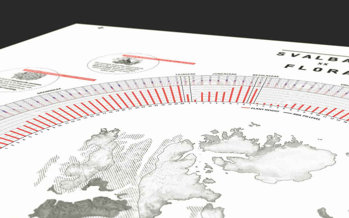 Arctic infographic design