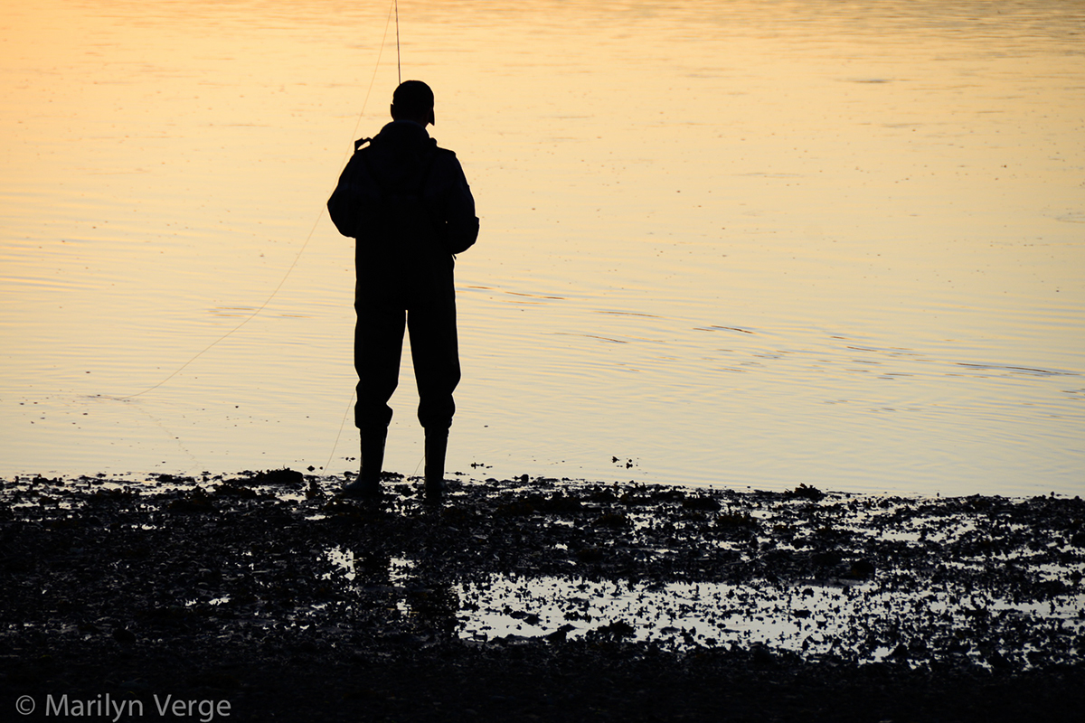 fishing bass sunset seashore gaspe peninsula Quebec Striped Bass