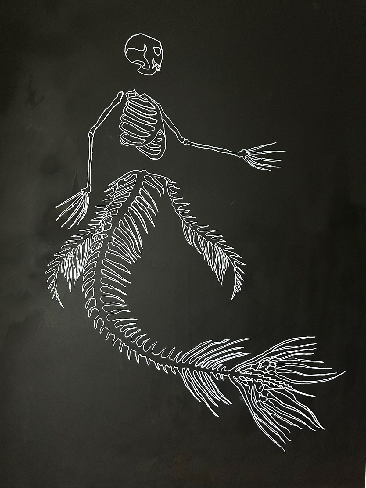 dead death skeleton skull anatomy siren mermaid Drawing  concept art painting  
