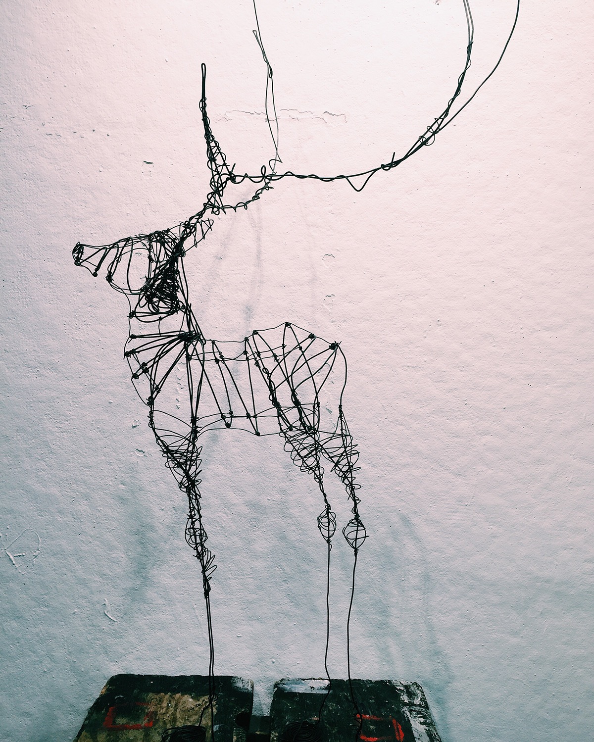 wire animal deer sculpture wiresculpture brucechao Finearts risd rhodeislandschoolofdesign daniellewilliams