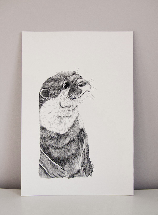 otter indian ink Black&white ILLUSTRATION  animals Drawing 