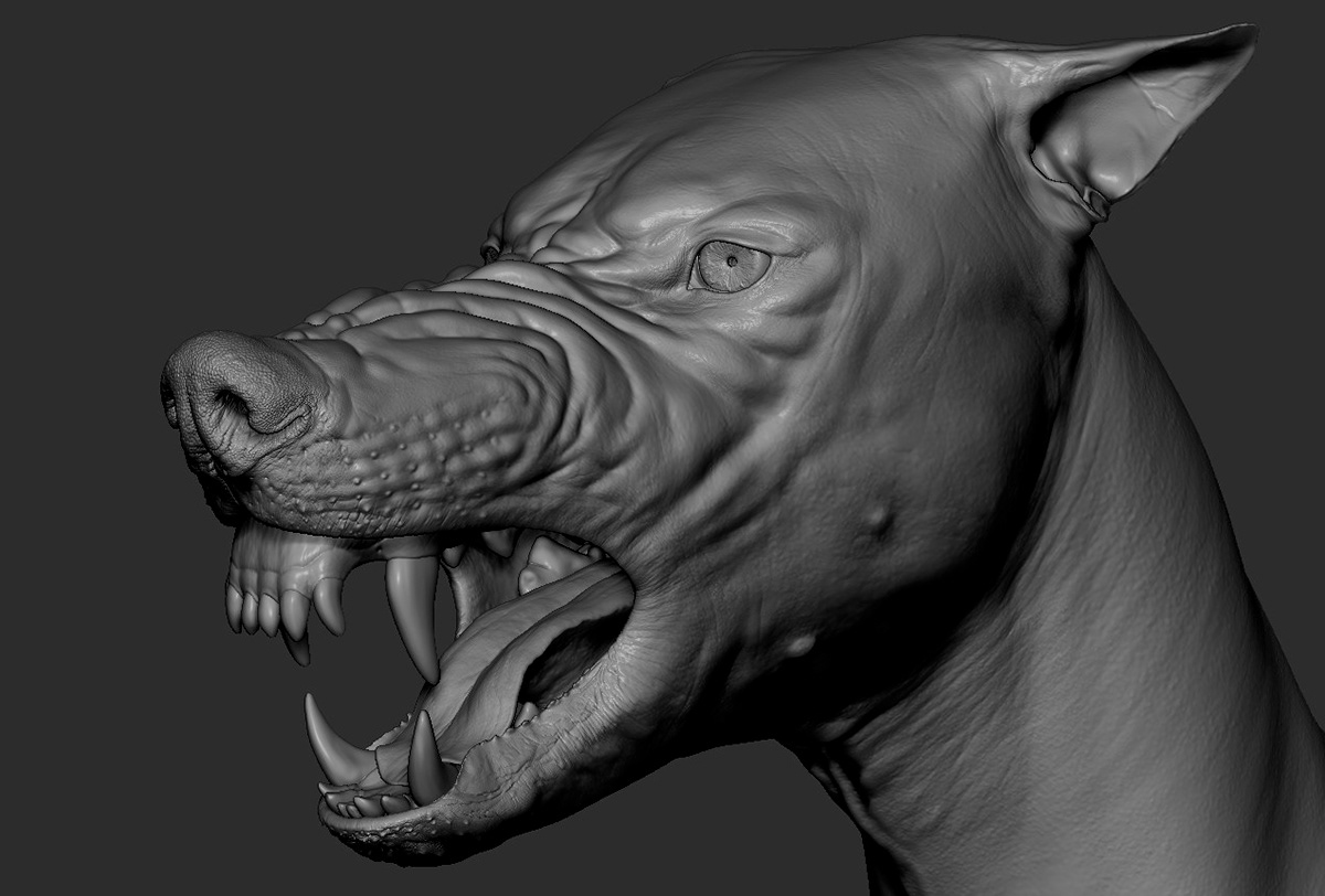 wolf art Zbrush anatomy 3dsmax Maya head Character creature