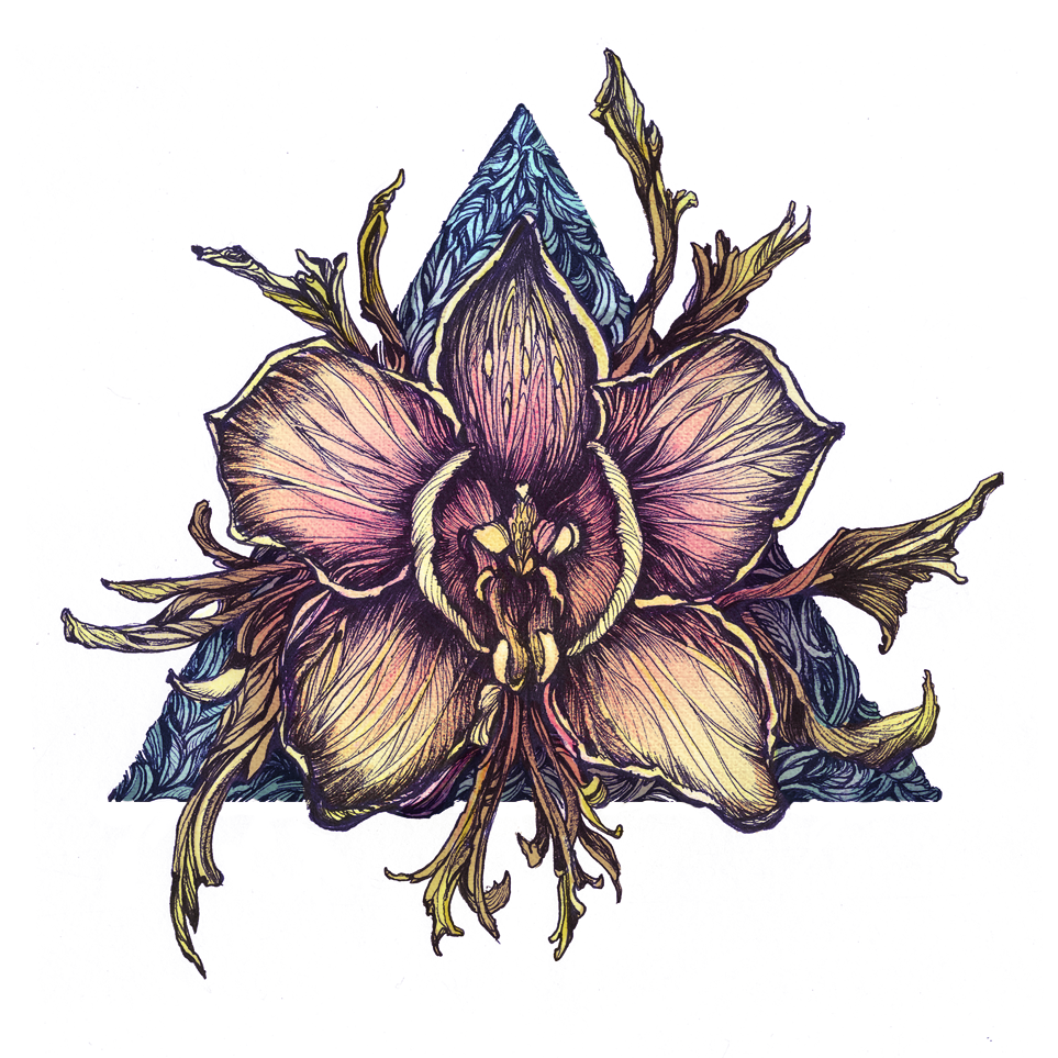 floral orchid summer inkandpaper hand-drawn