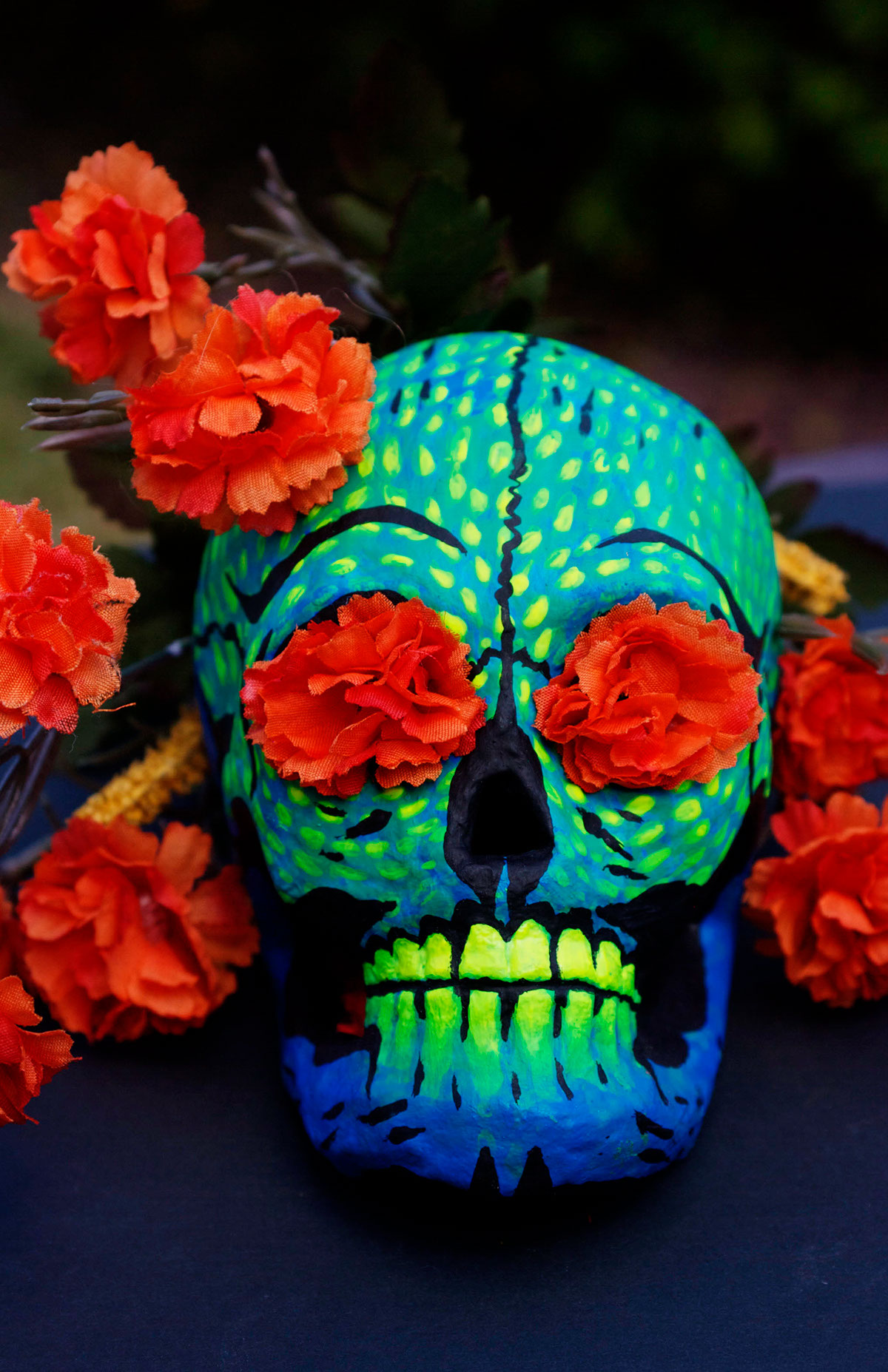 skulls Halloween acrylic black light Raves trippy human skull Painted Skull skull skeletons decorations decor holidays