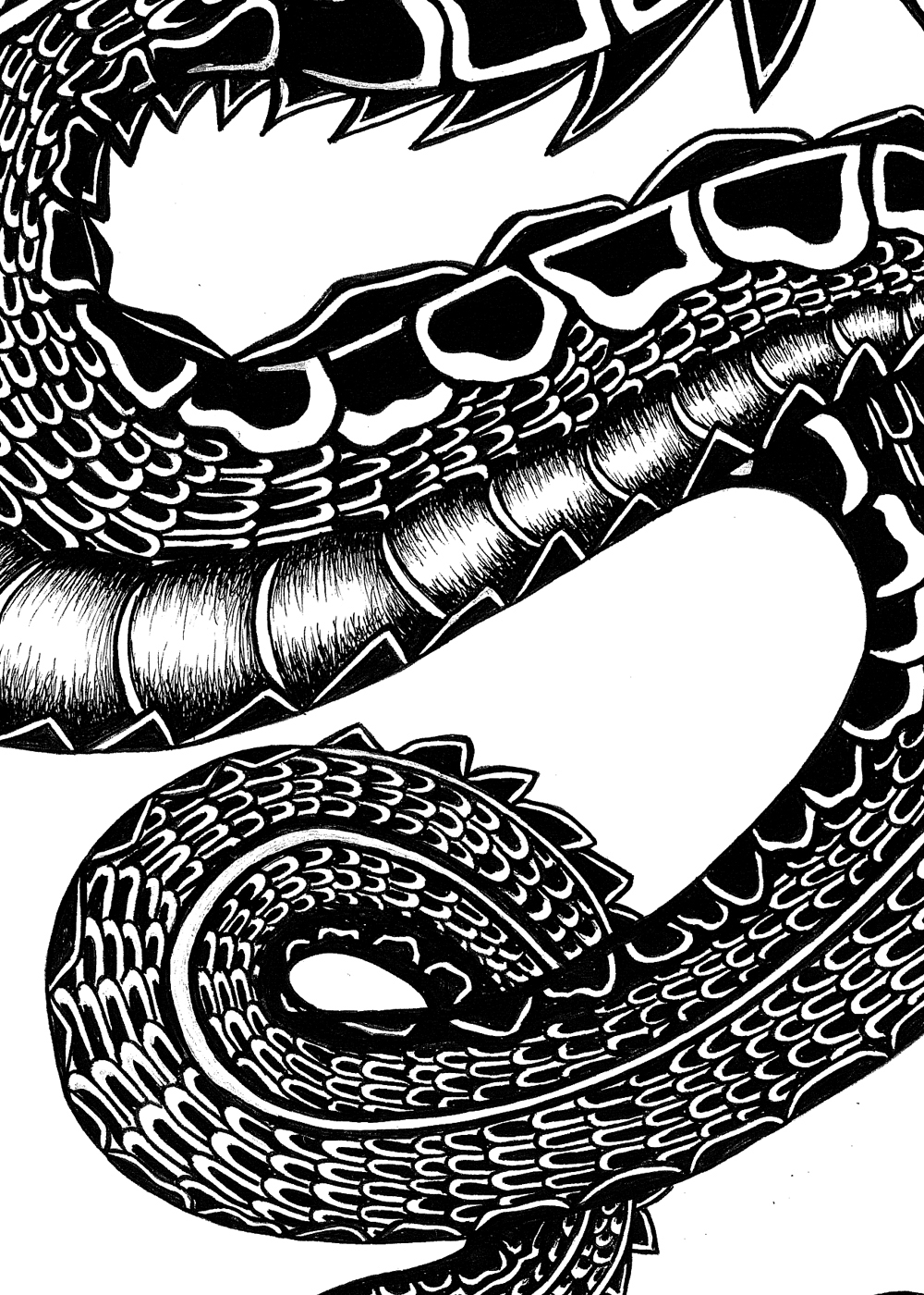 dragon ink blackink handdrawing floral detailart tshirt pattern Fashion  dragonart