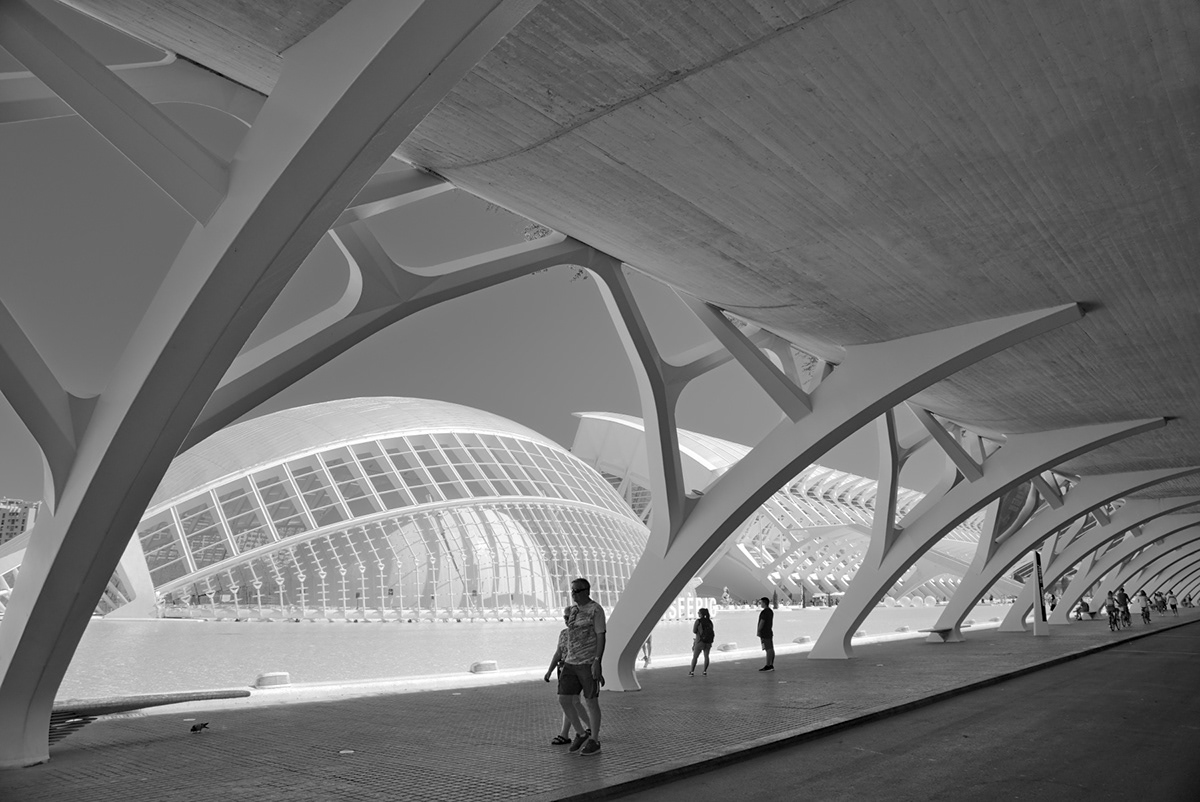 Shade zone - City of Arts and Sciences