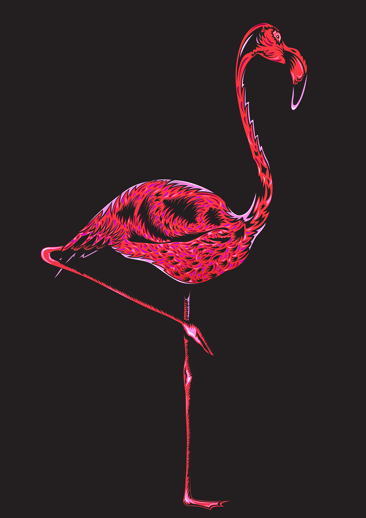 flamingo sofia sofia bolona pink birds pajaro ilustracion
