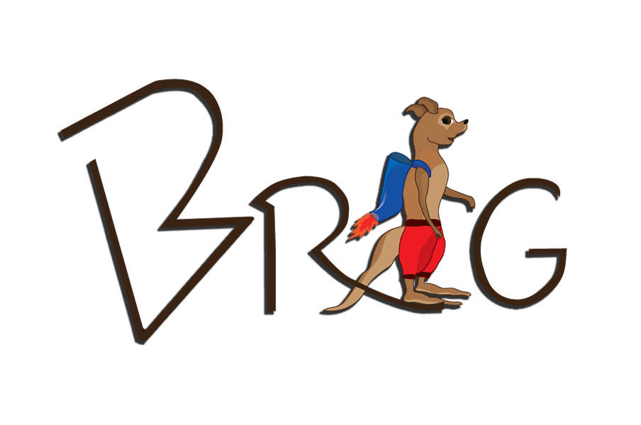 Brig gamedesign gameart ILLUSTRATION  graphic graphicdesign kangaroo game Flappybird