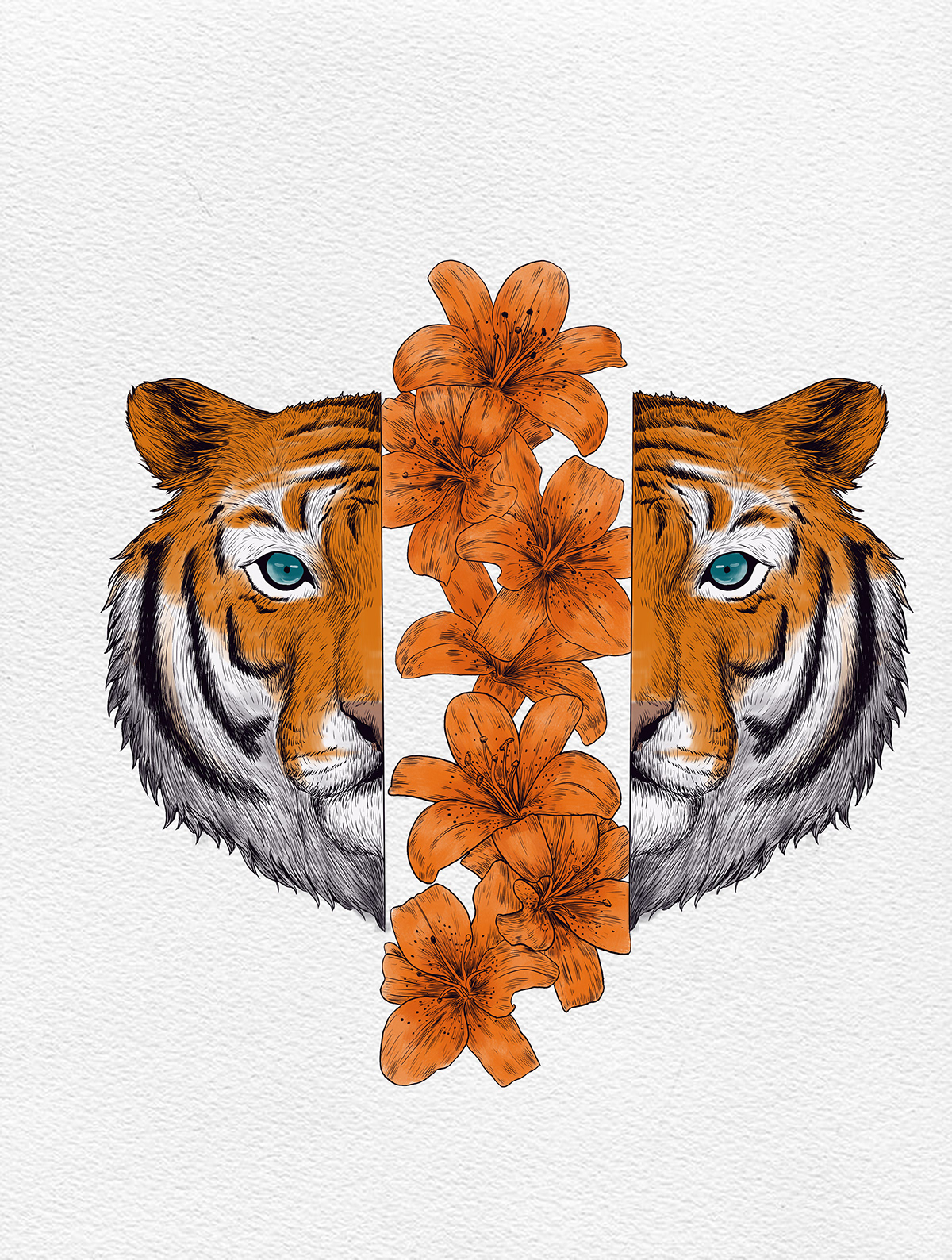 animalillustration blackandwhitedrawing Drawing  ILLUSTRATION  lineart tiger tigerlily