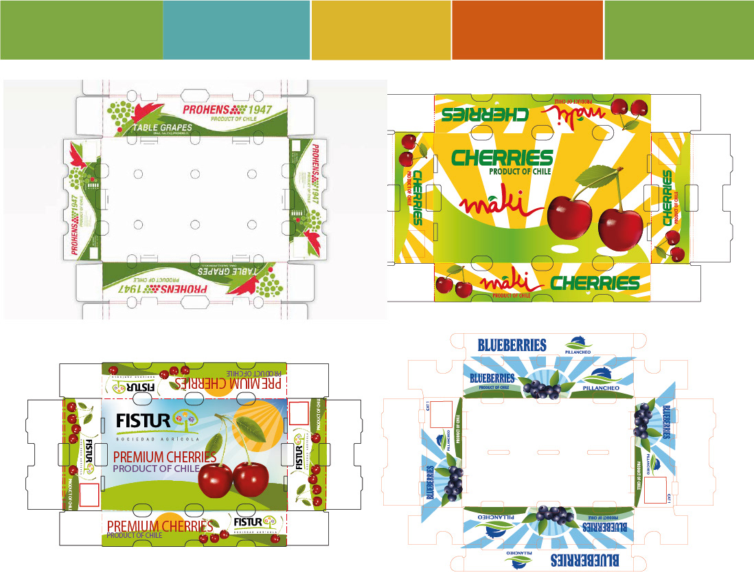 Packaging grafica publicidad diseño gráfico visual identity export exportacion fruits Food  graphic design 